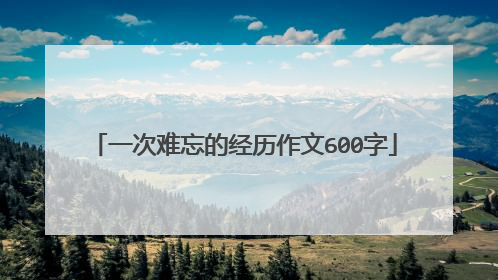 一次难忘的经历作文600字