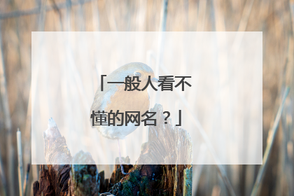 一般人看不懂的网名？