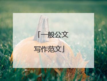 一般公文写作范文