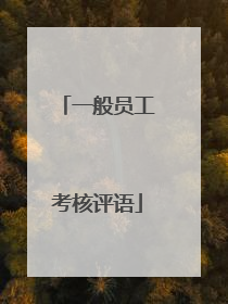 一般员工考核评语
