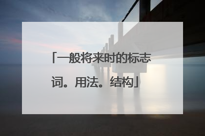 一般将来时的标志词。用法。结构