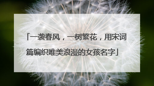 一袭春风,一树繁花,用宋词篇编织唯美浪漫的女孩名字