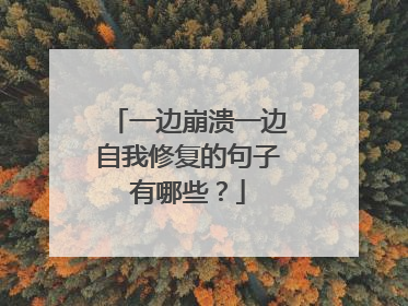 一边崩溃一边自我修复的句子有哪些?