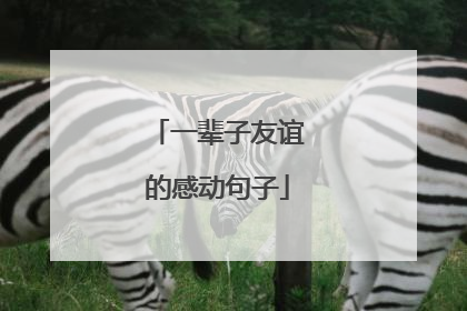 一辈子友谊的感动句子