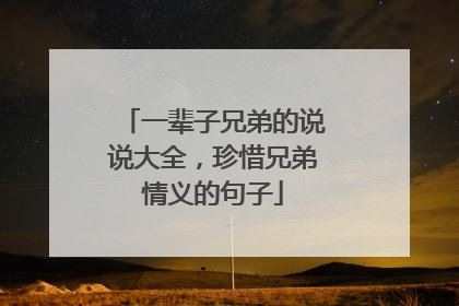 一辈子兄弟的说说大全，珍惜兄弟情义的句子