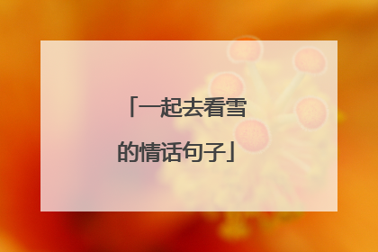 一起去看雪的情话句子