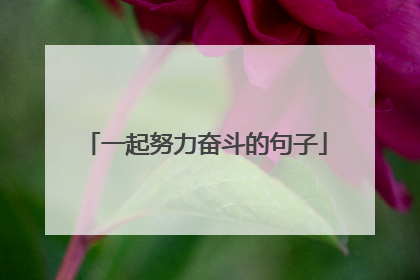 一起努力奋斗的句子