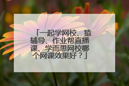 一起学网校、猿辅导、作业帮直播课、学而思网校哪个网课效果好？