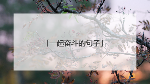 一起奋斗的句子