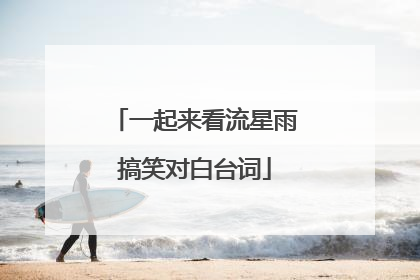 一起来看流星雨搞笑对白台词