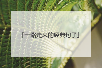 一路走来的经典句子