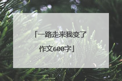 一路走来我变了作文600字