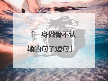 一身傲骨不认输的句子短句