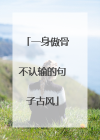 一身傲骨不认输的句子古风