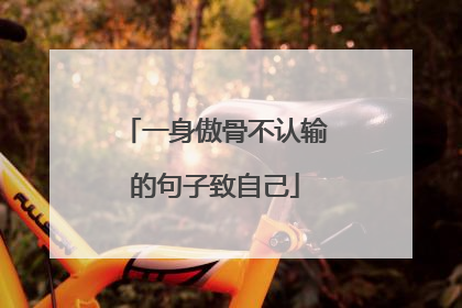 一身傲骨不认输的句子致自己