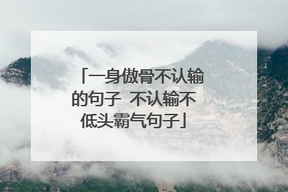 一身傲骨不认输的句子 不认输不低头霸气句子