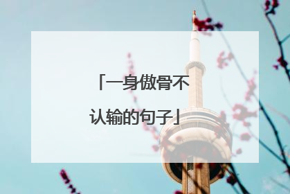 一身傲骨不认输的句子