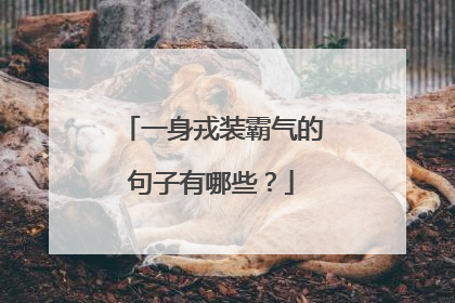 一身戎装霸气的句子有哪些?