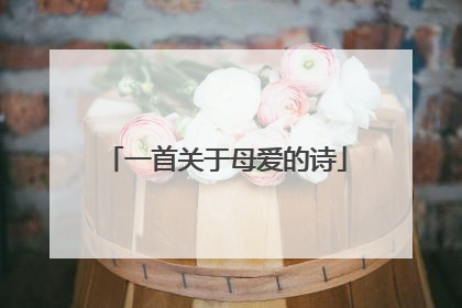 一首关于母爱的诗