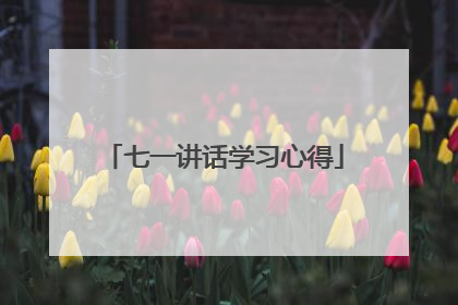 七一讲话学习心得