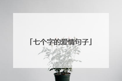 七个字的爱情句子