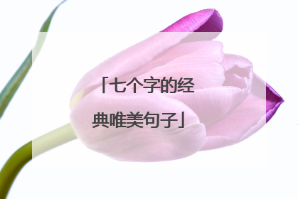 七个字的经典唯美句子