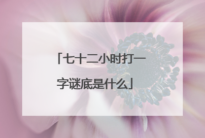 七十二小时打一字谜底是什么