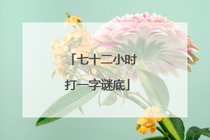 七十二小时打一字谜底