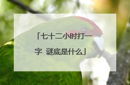 七十二小时打一字 谜底是什么