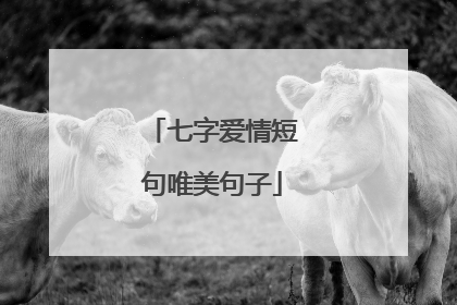 七字爱情短句唯美句子