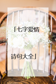 七字爱情诗句大全