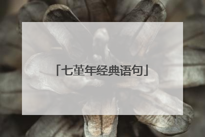 七堇年经典语句