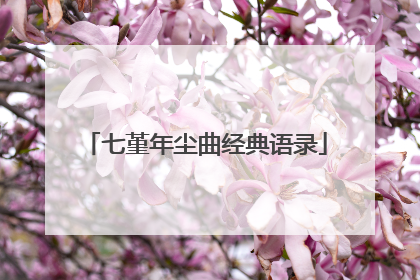 七堇年尘曲经典语录