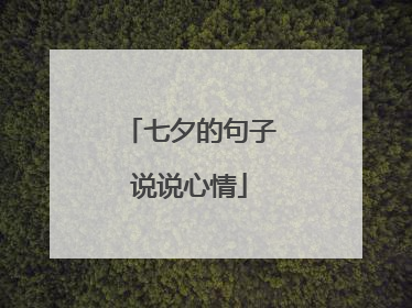 七夕的句子说说心情