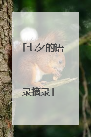 七夕的语录摘录