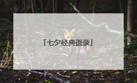 七夕经典语录