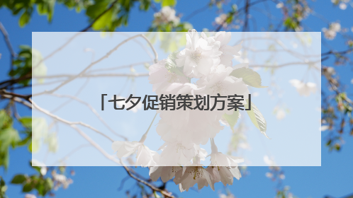 七夕促销策划方案