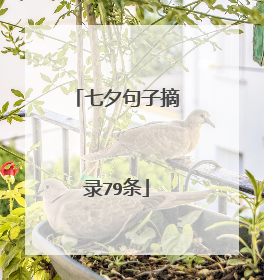 七夕句子摘录79条