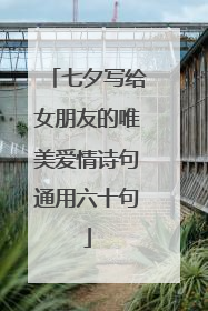 七夕写给女朋友的唯美爱情诗句通用六十句