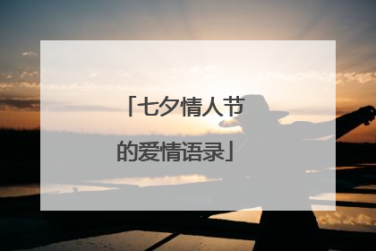 七夕情人节的爱情语录