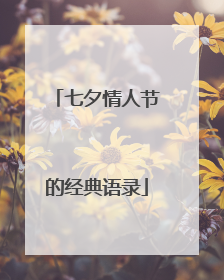 七夕情人节的经典语录