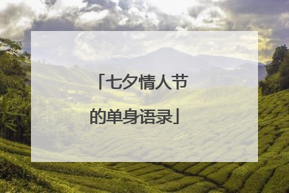 七夕情人节的单身语录