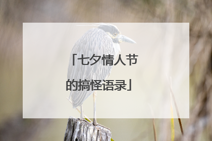 七夕情人节的搞怪语录