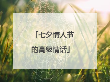 七夕情人节的高级情话