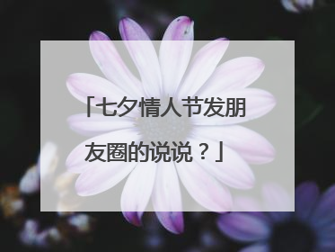 七夕情人节发朋友圈的说说?