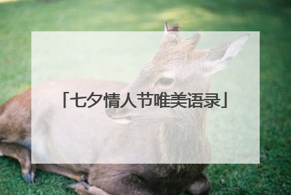 七夕情人节唯美语录