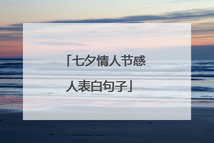 七夕情人节感人表白句子