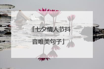 七夕情人节抖音唯美句子