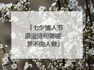 七夕情人节浪漫诗句堪嗟梦不由人做