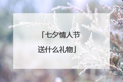 七夕情人节送什么礼物